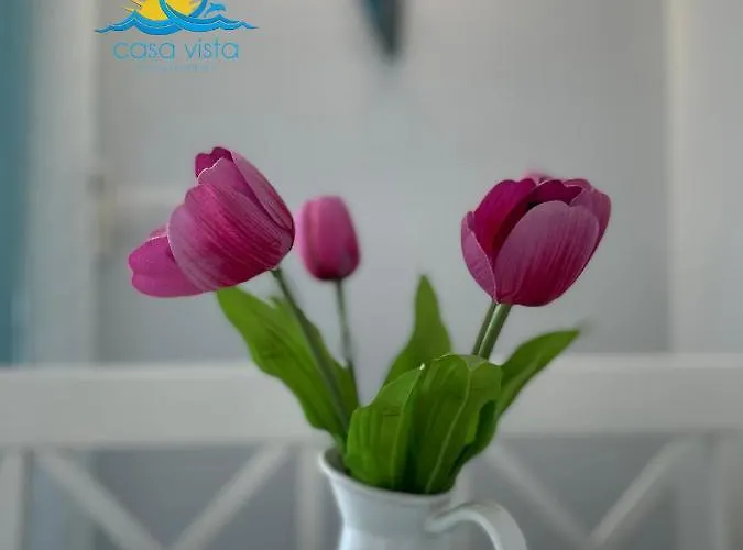 Casa Vista Summer Apartamento Kárpatos